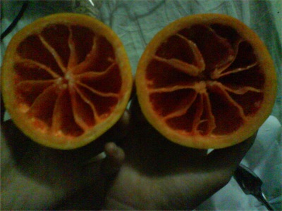 grapefruit2.jpg